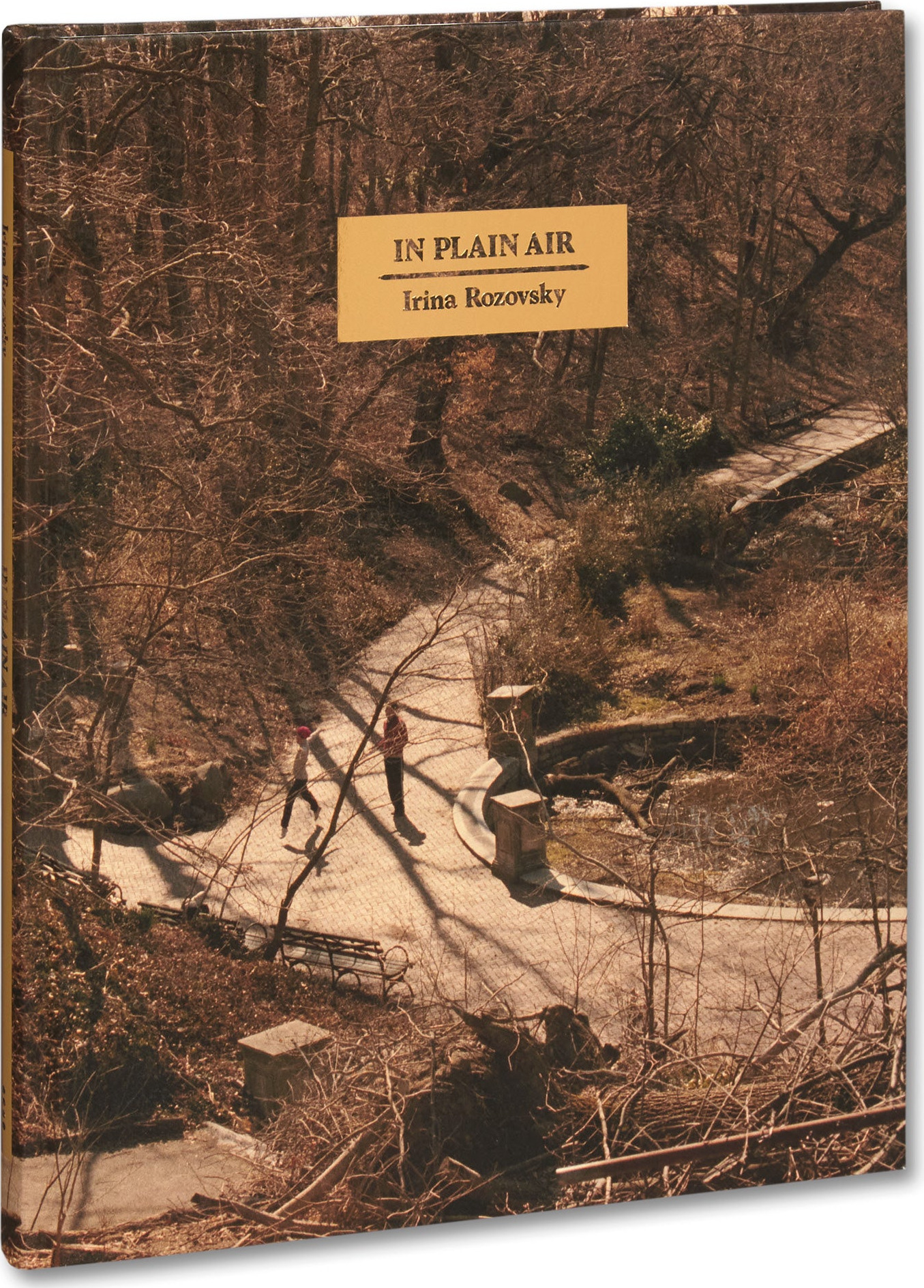 In Plain Air