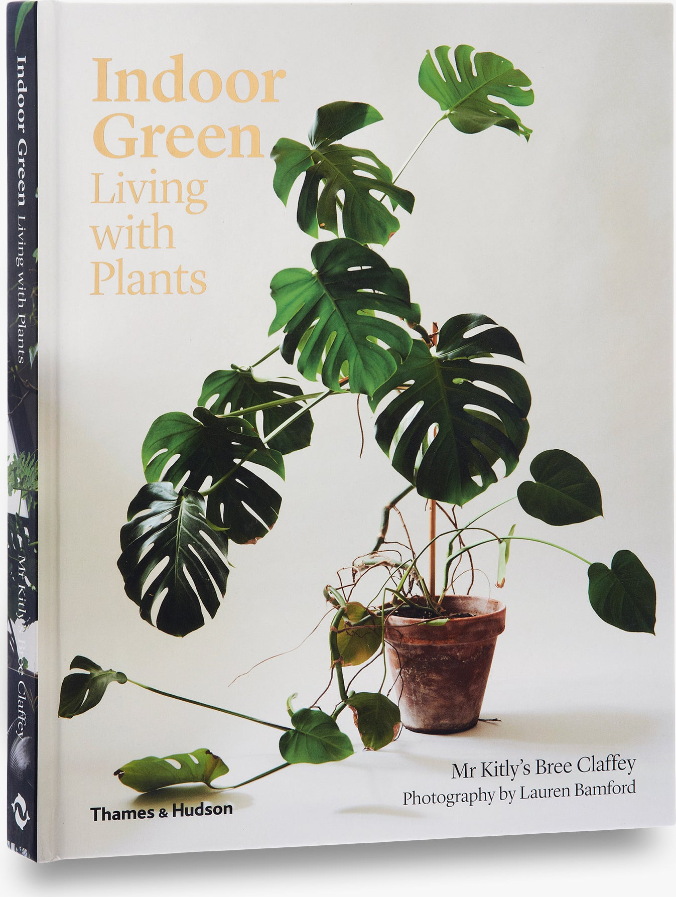 Indoor Green: Living with Plants