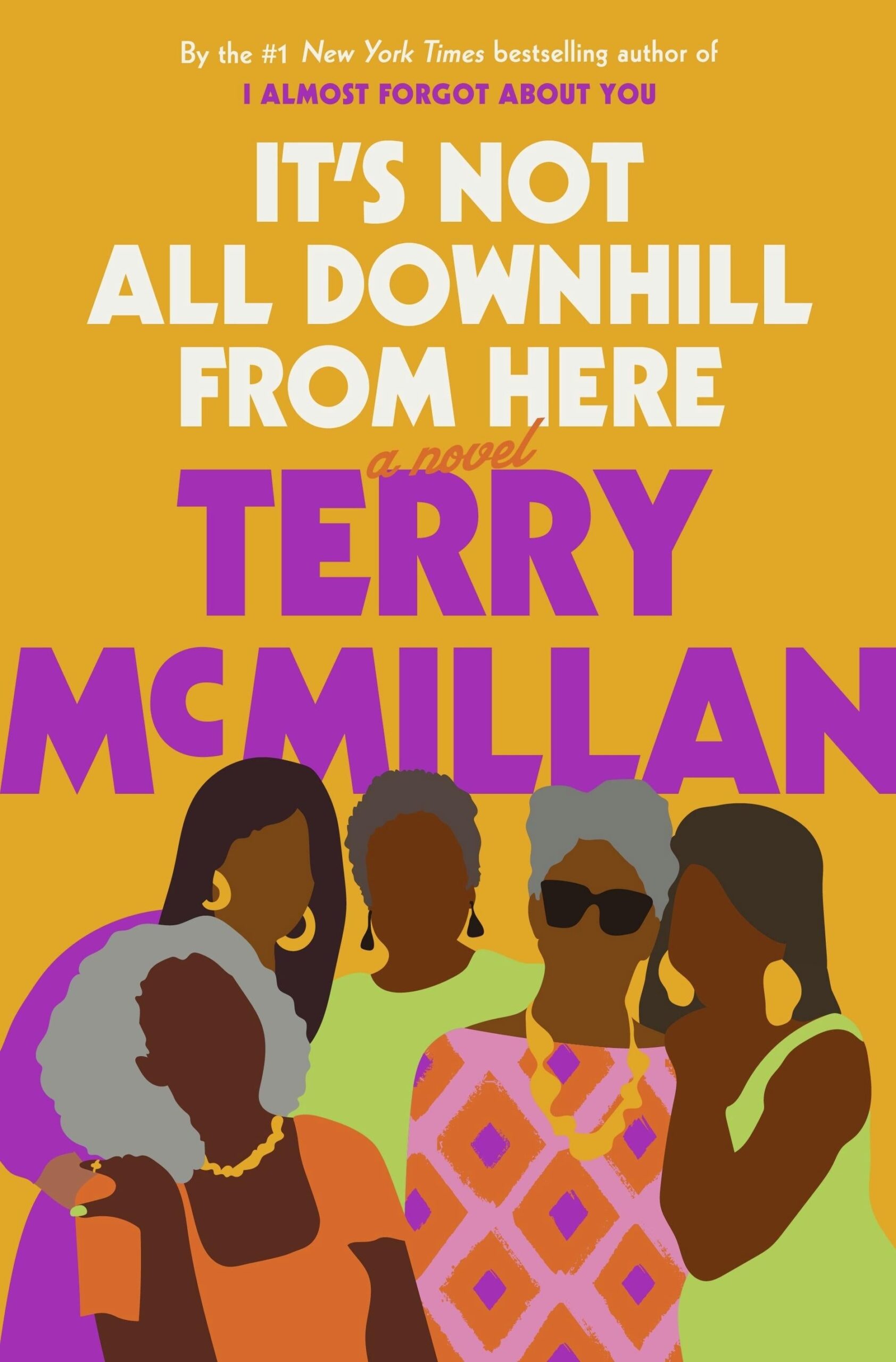 It’s Not All Downhill From Here // A Novel