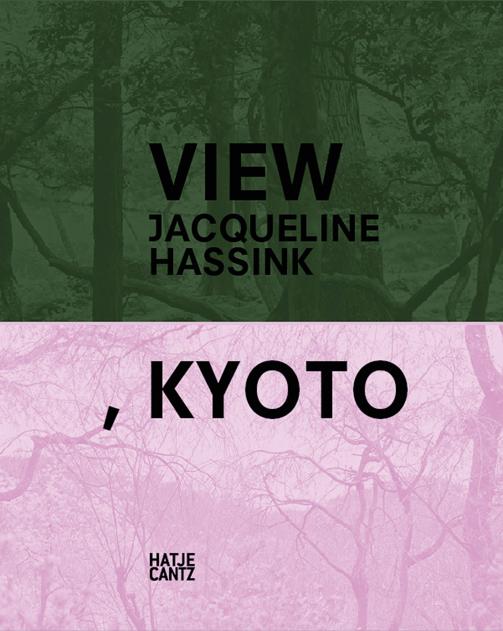 Jacqueline Hassink