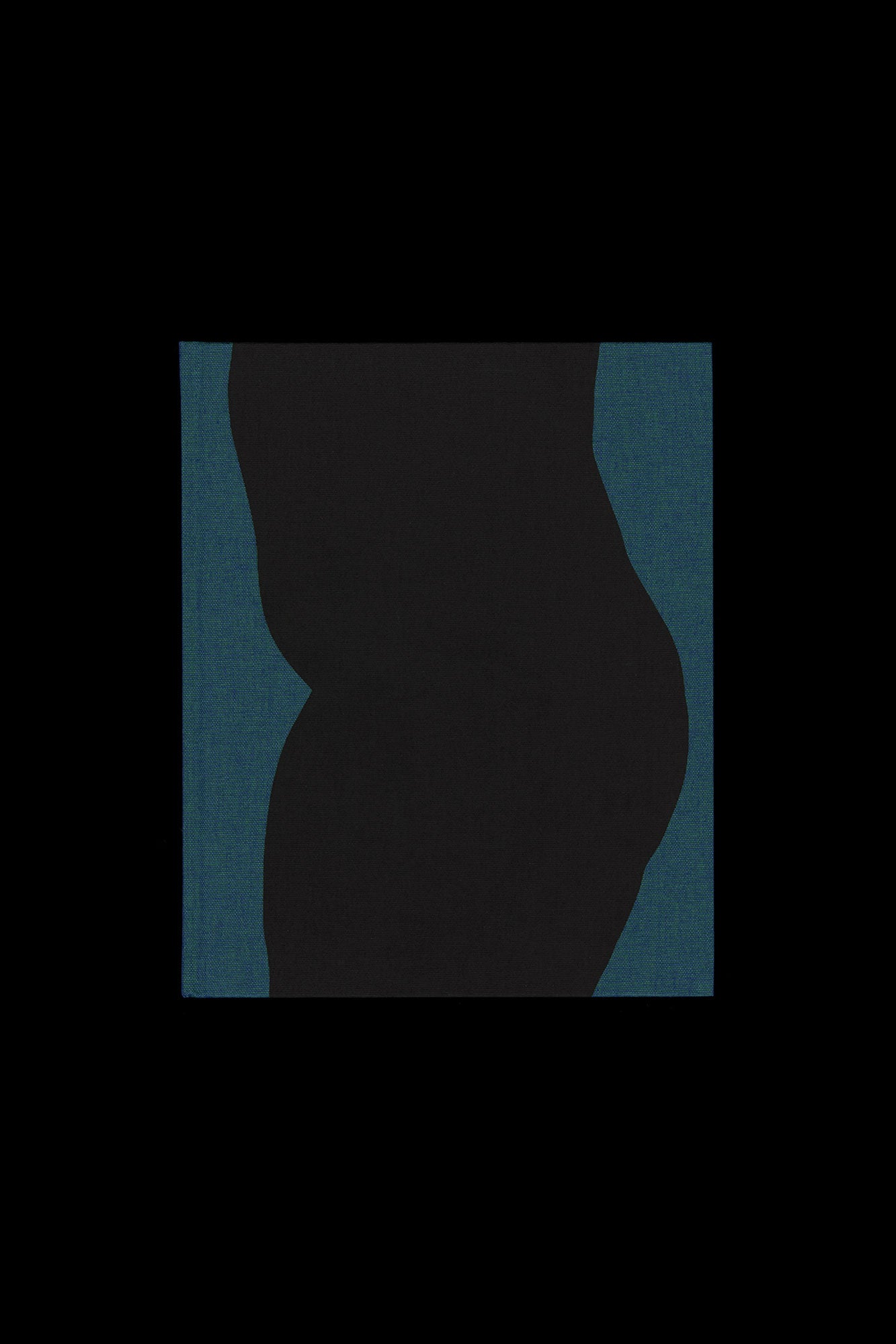 Jet Swan: Material