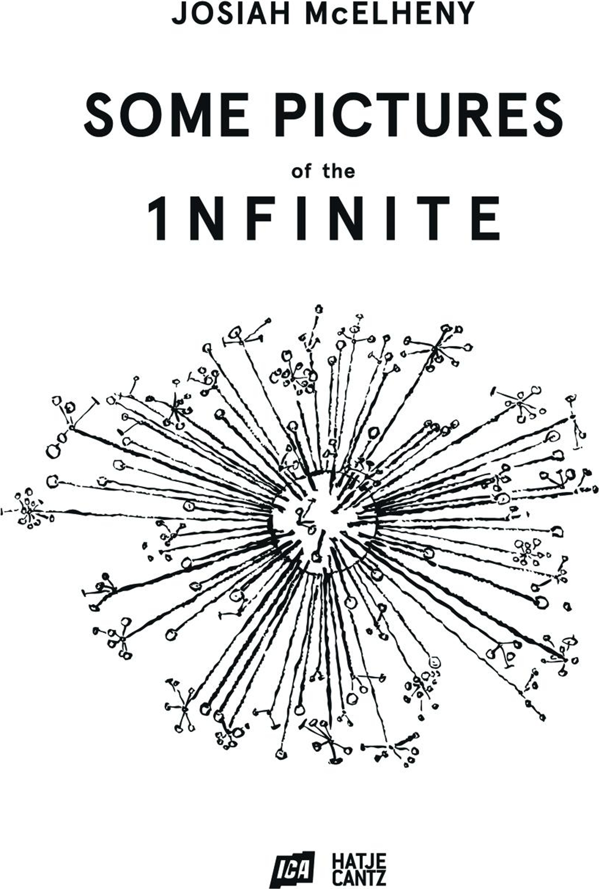 Josiah McElhenySome Pictures of the Infinite