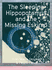 Jo�o Maria Gusm�o & Pedro Paiva: The Sleeping Hippopotamus and the Missing Eskimo cover