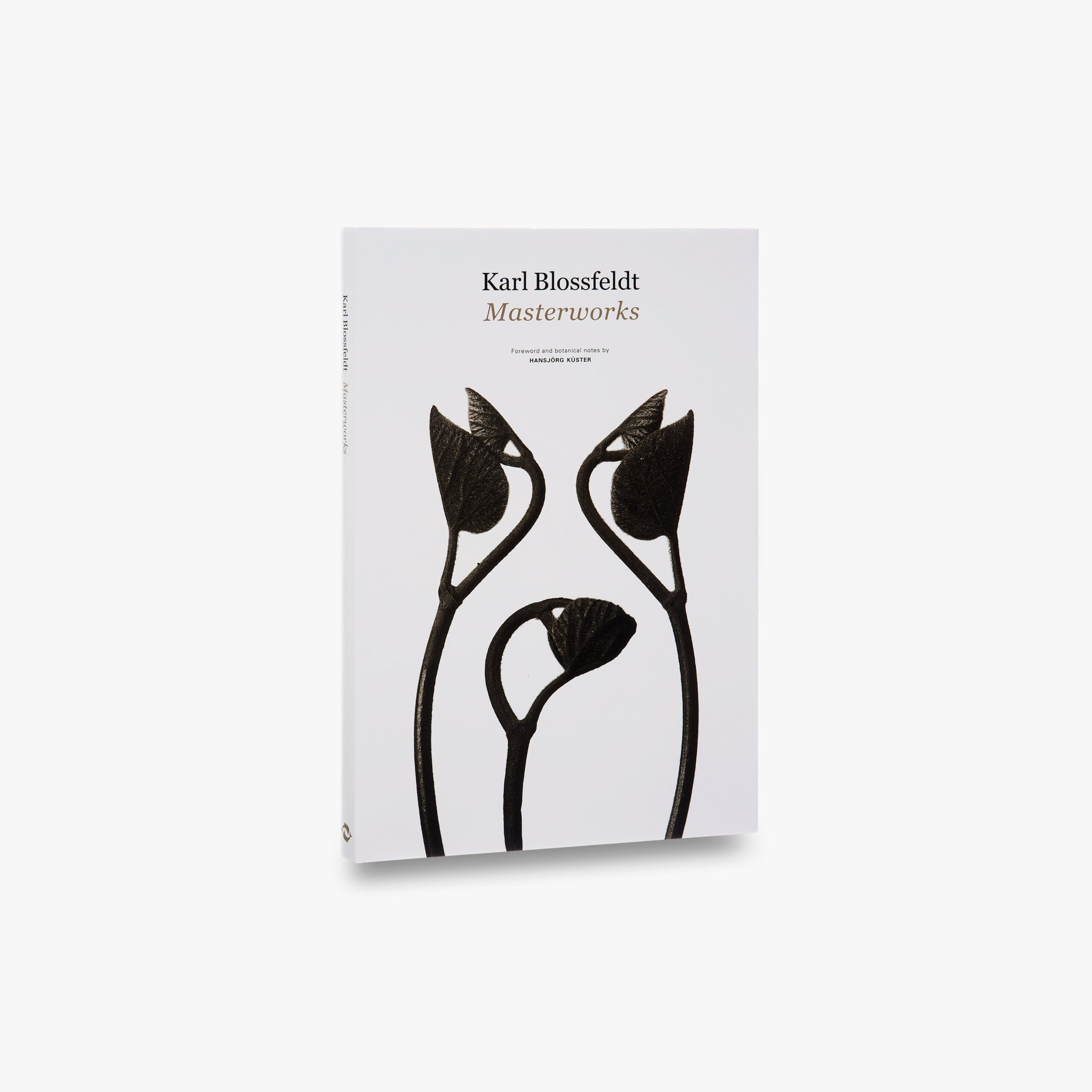 Karl Blossfeldt: Masterworks
