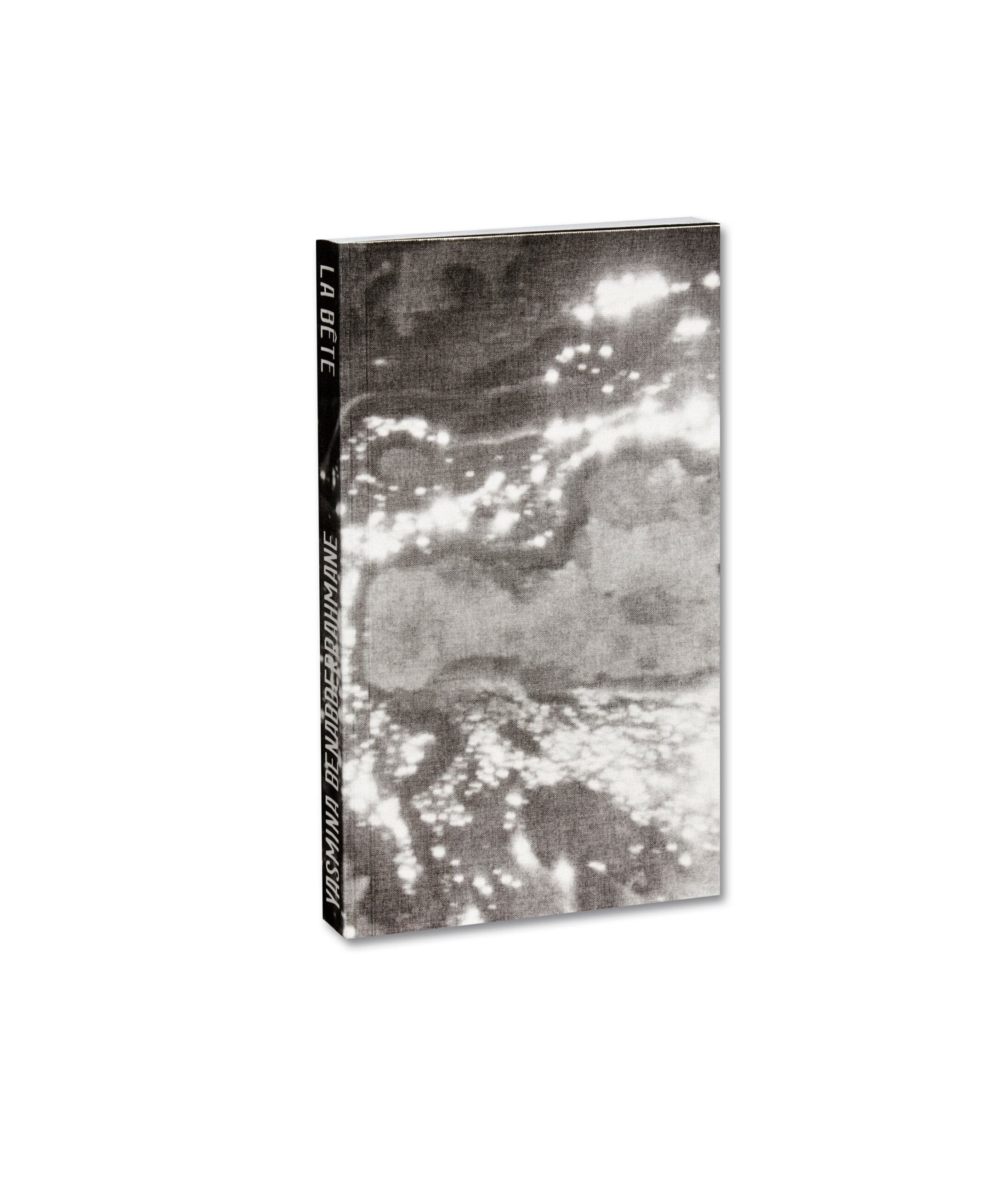 La Bête A Modern Tale [English Edition] cover