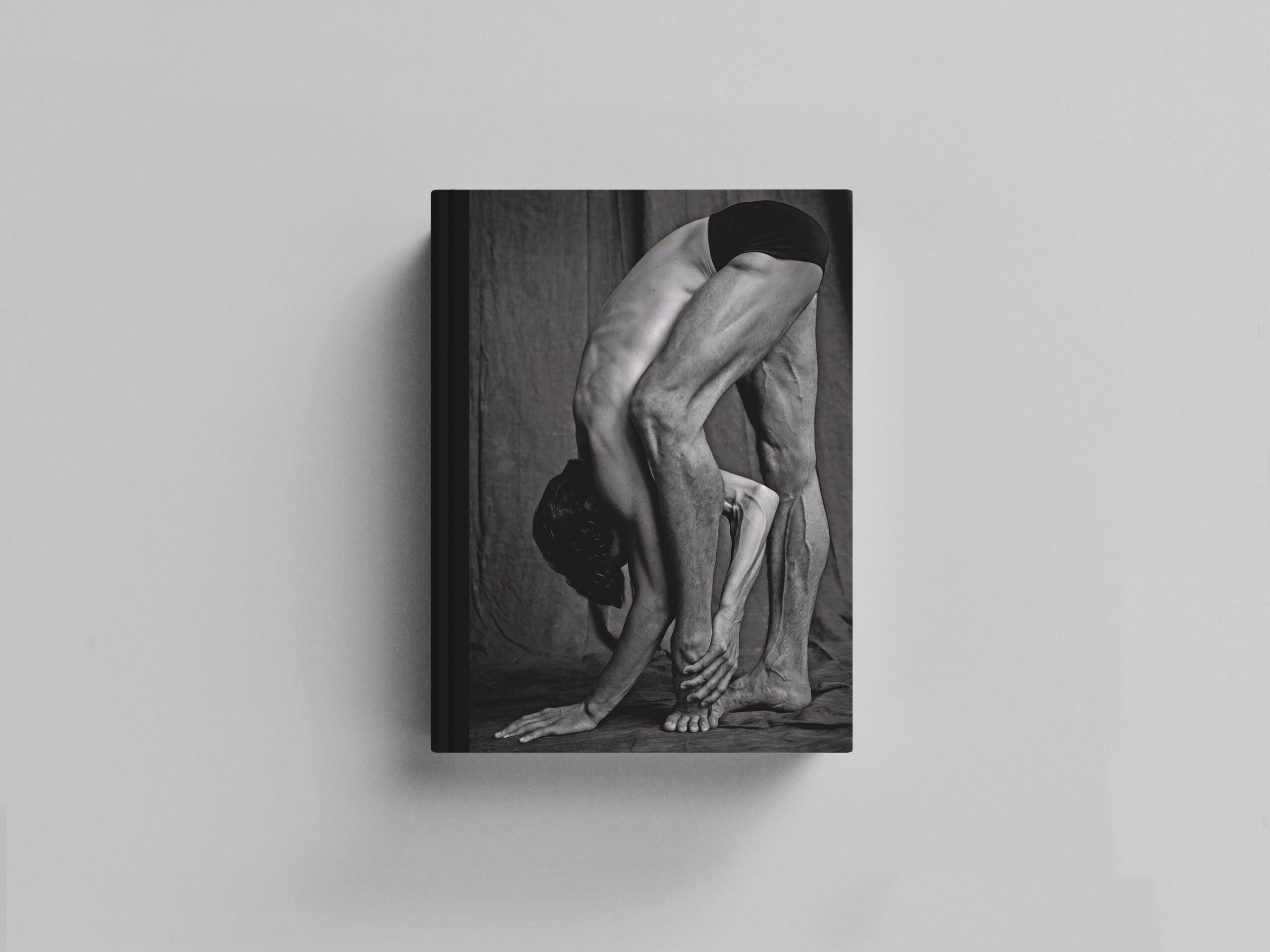 Les Danseurs cover