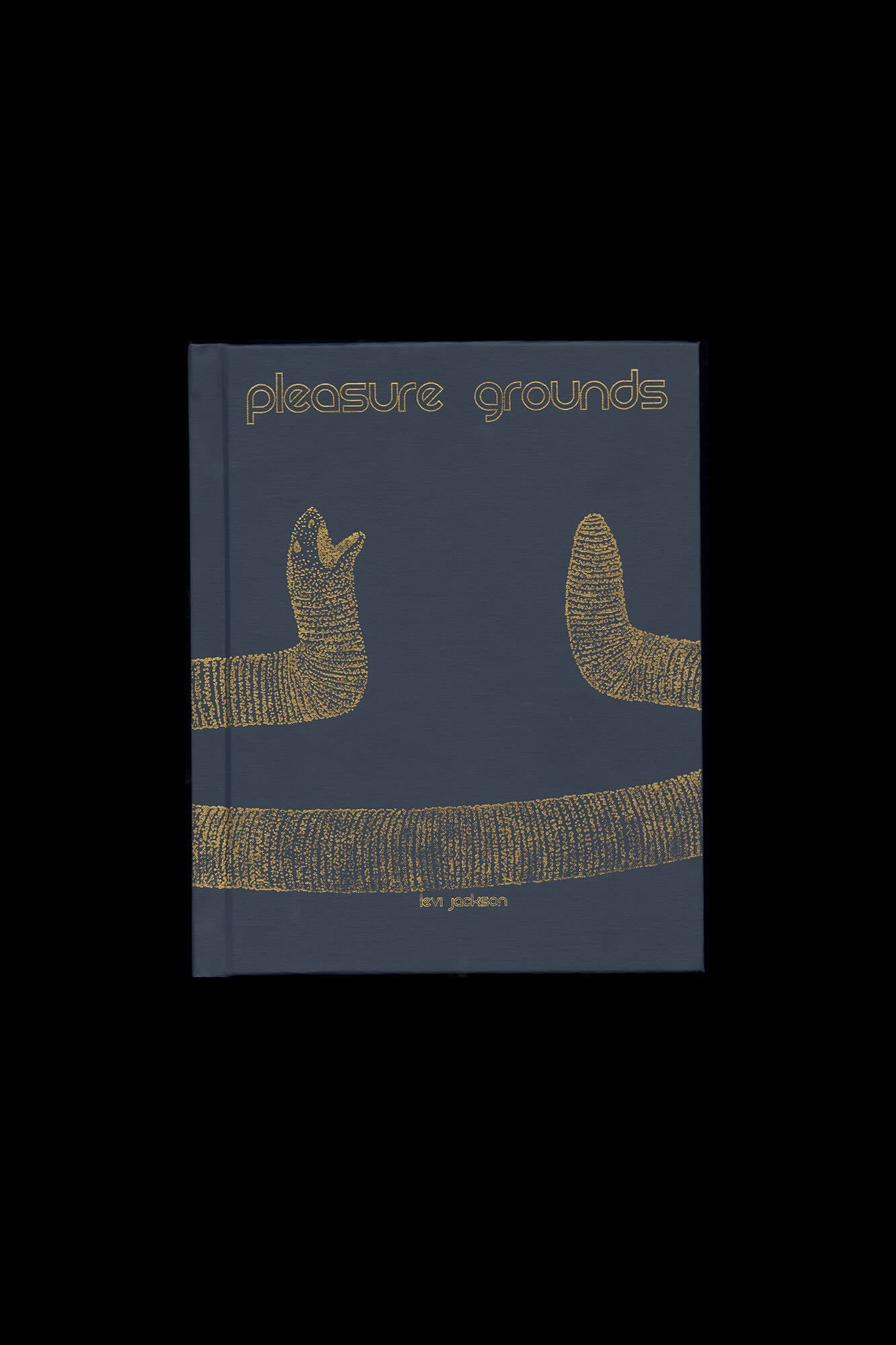 Levi Jackson:Pleasure Grounds