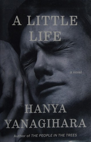 Little Life: A Novel cover