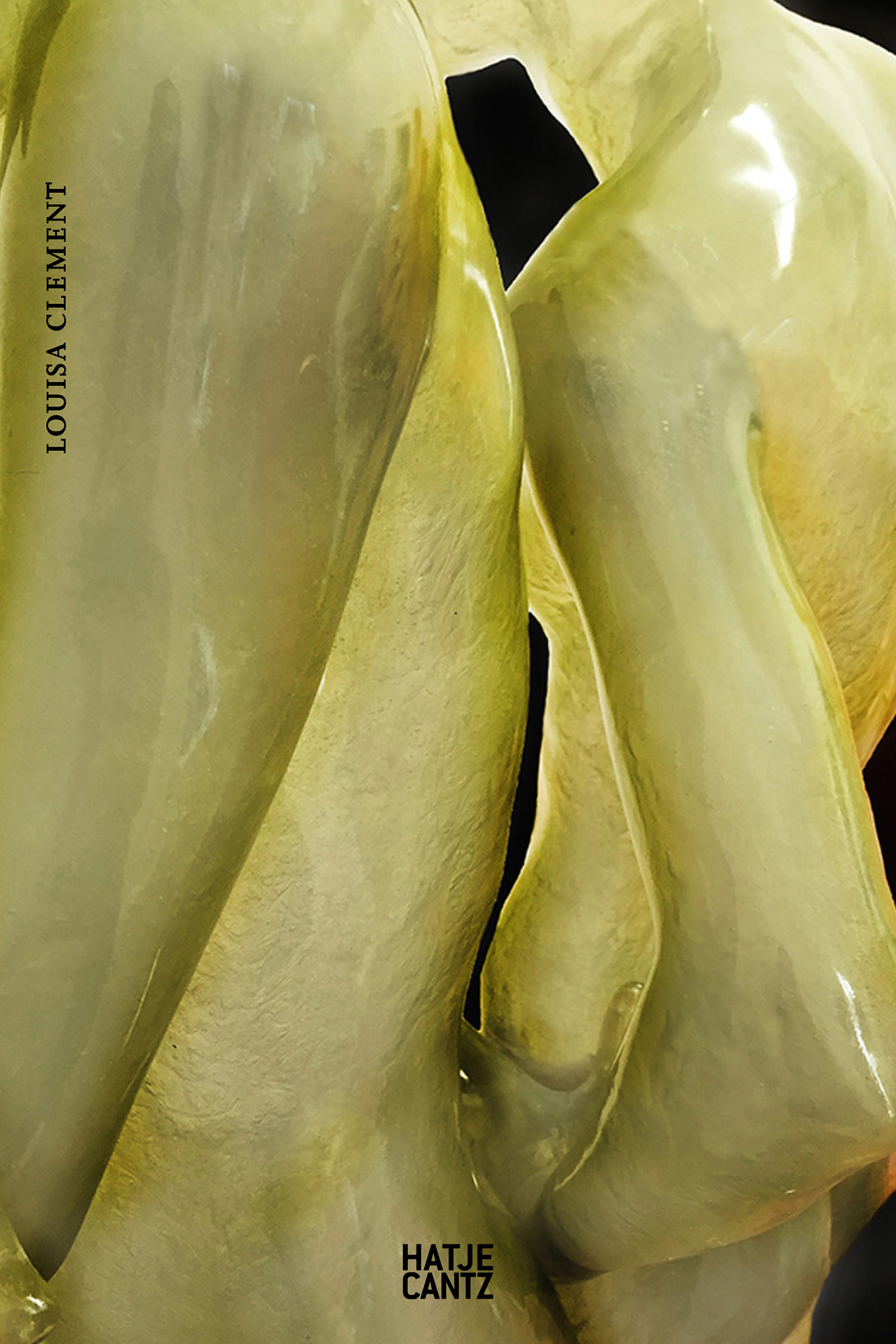 Louisa Clement cover
