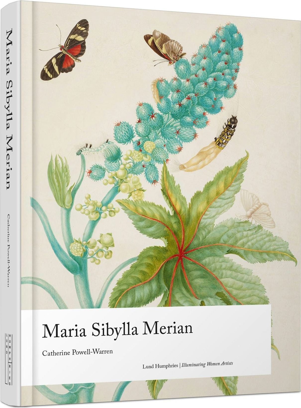 Maria Sibylla Merian