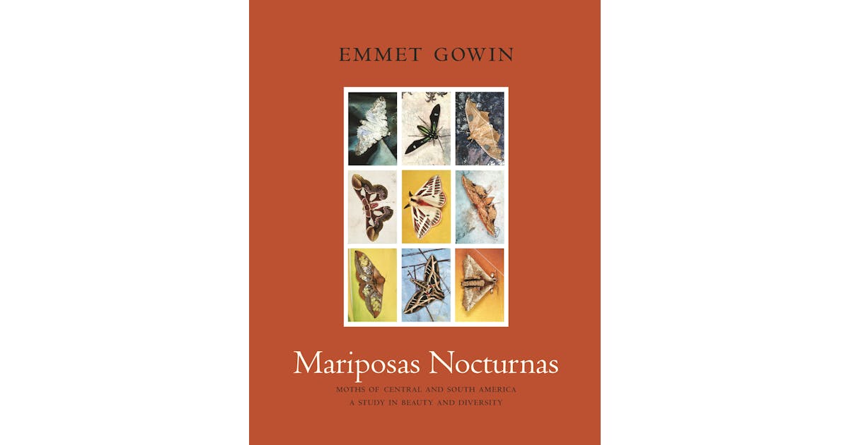 Mariposas Nocturnas: Moths of Central and South America, A Study in Beauty and Diversity cover