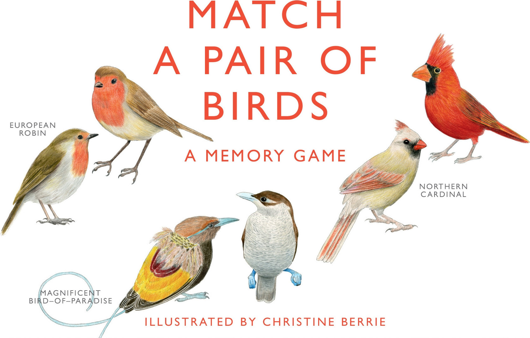 Match a Pair of Birds