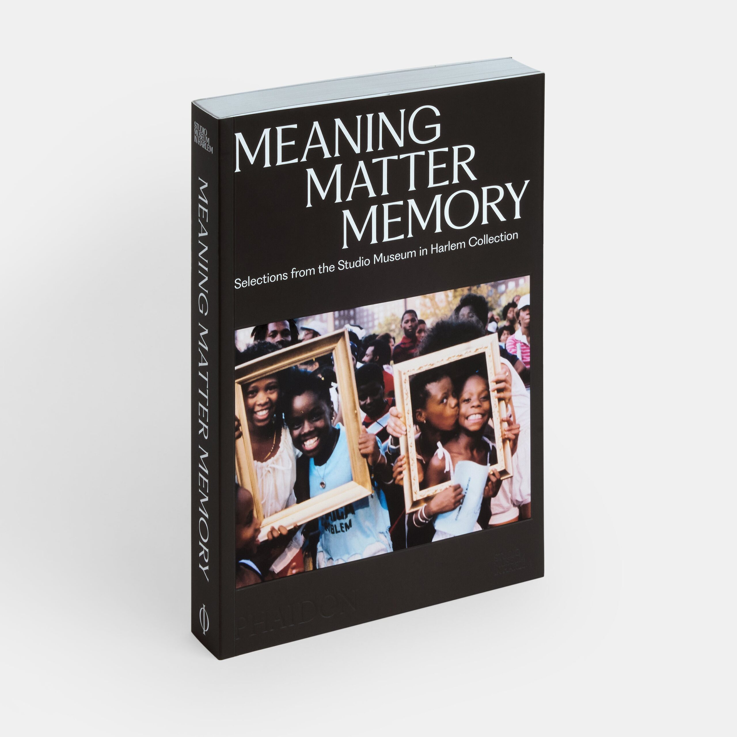 Meaning, Matter, Memory: Selections from the Studio Museum in Harlem Collection