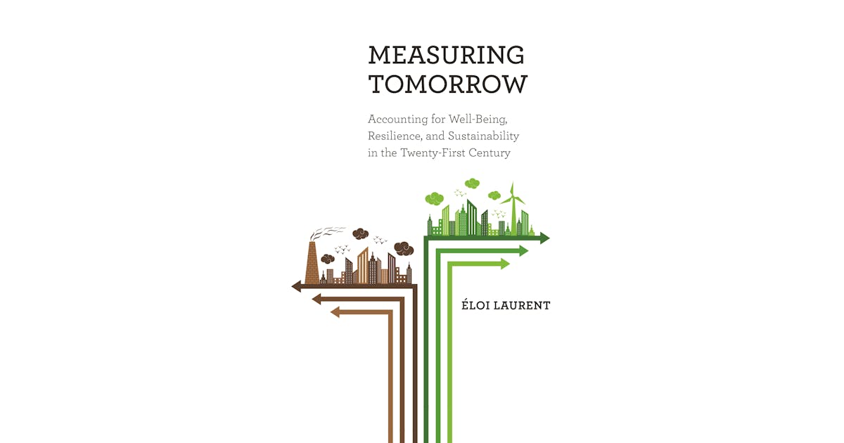 Measuring Tomorrow: Accounting for Well-Being, Resilience, and Sustainability in the Twenty-First Century cover
