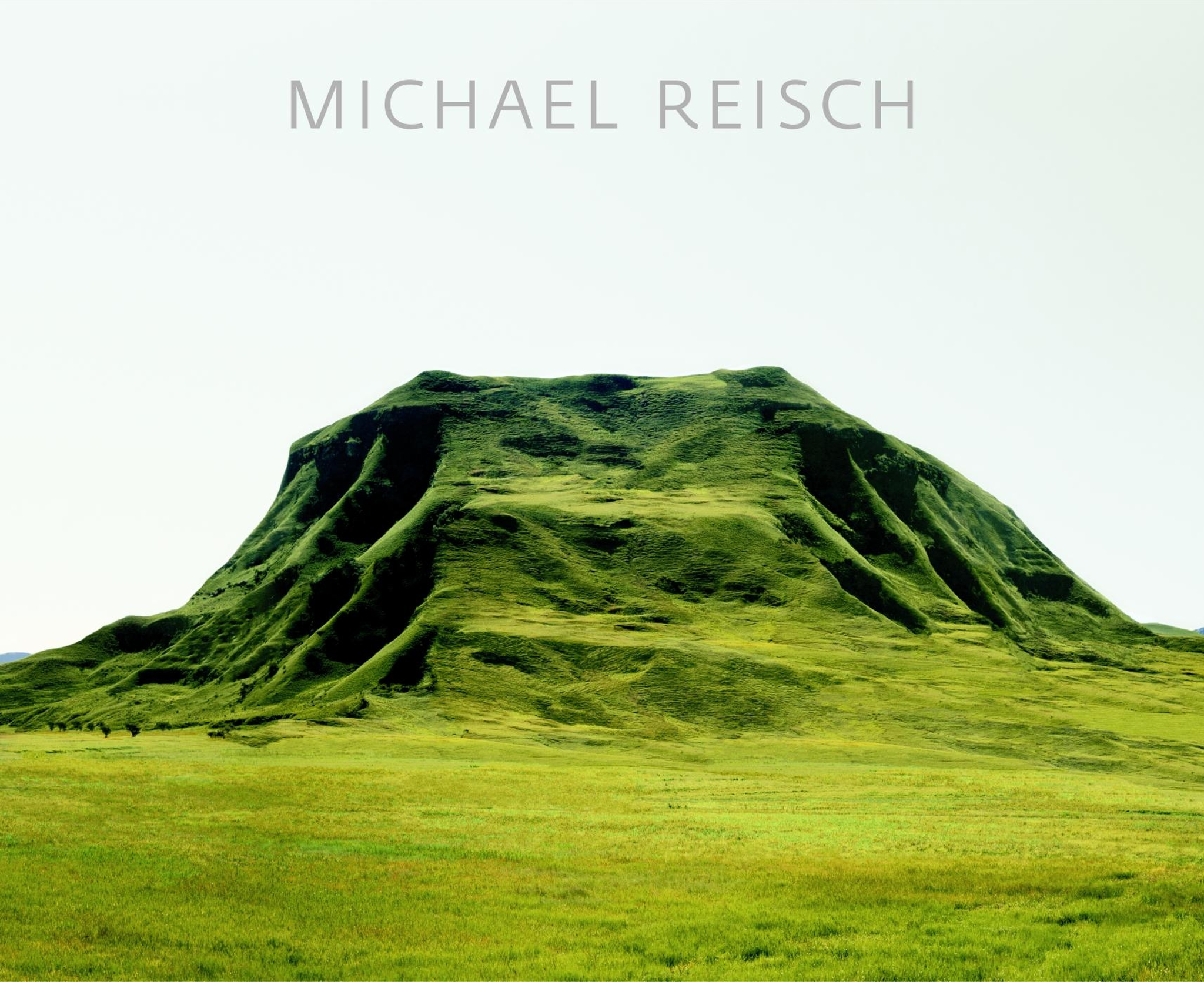 Michael Reisch cover