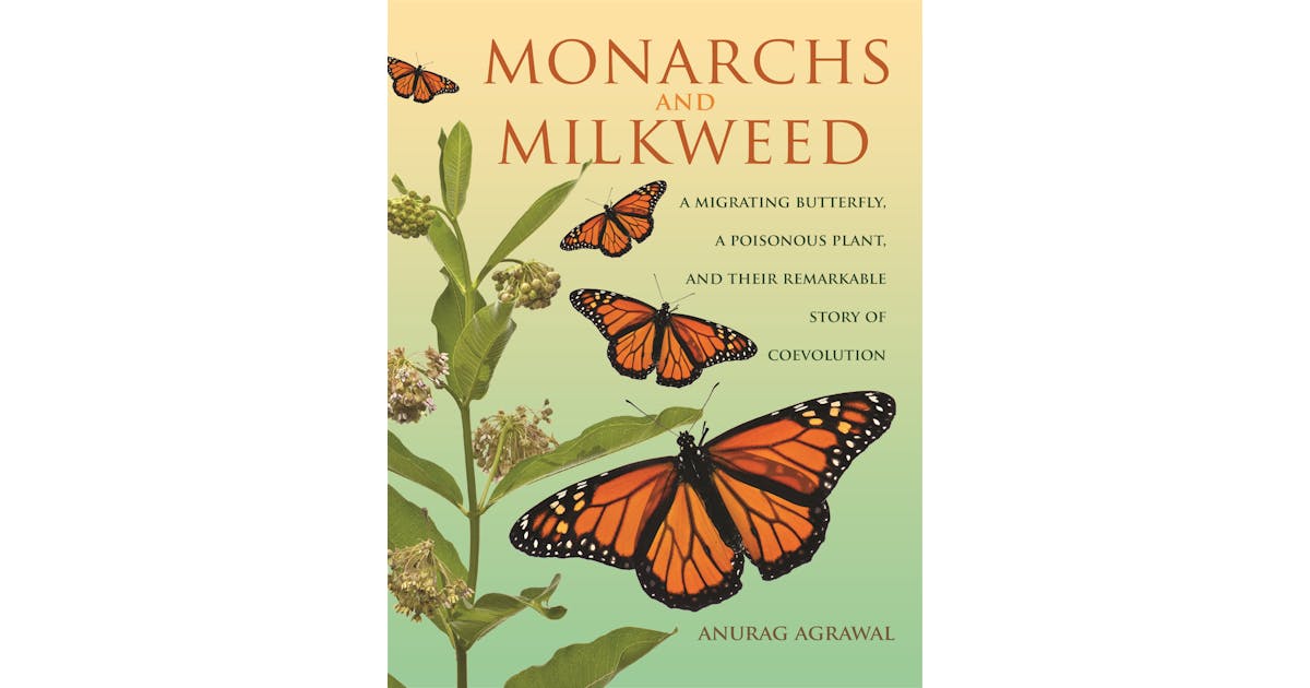 Monarchs and Milkweed: A Migrating Butterfly, a Poisonous Plant, and Their Remarkable Story of Coevolution cover