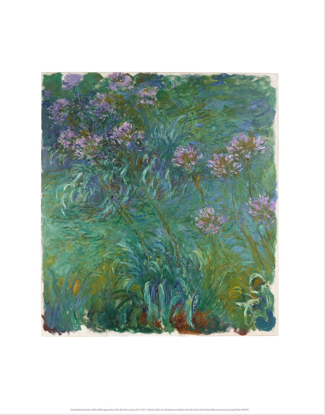 Monet: Agapanthus Print