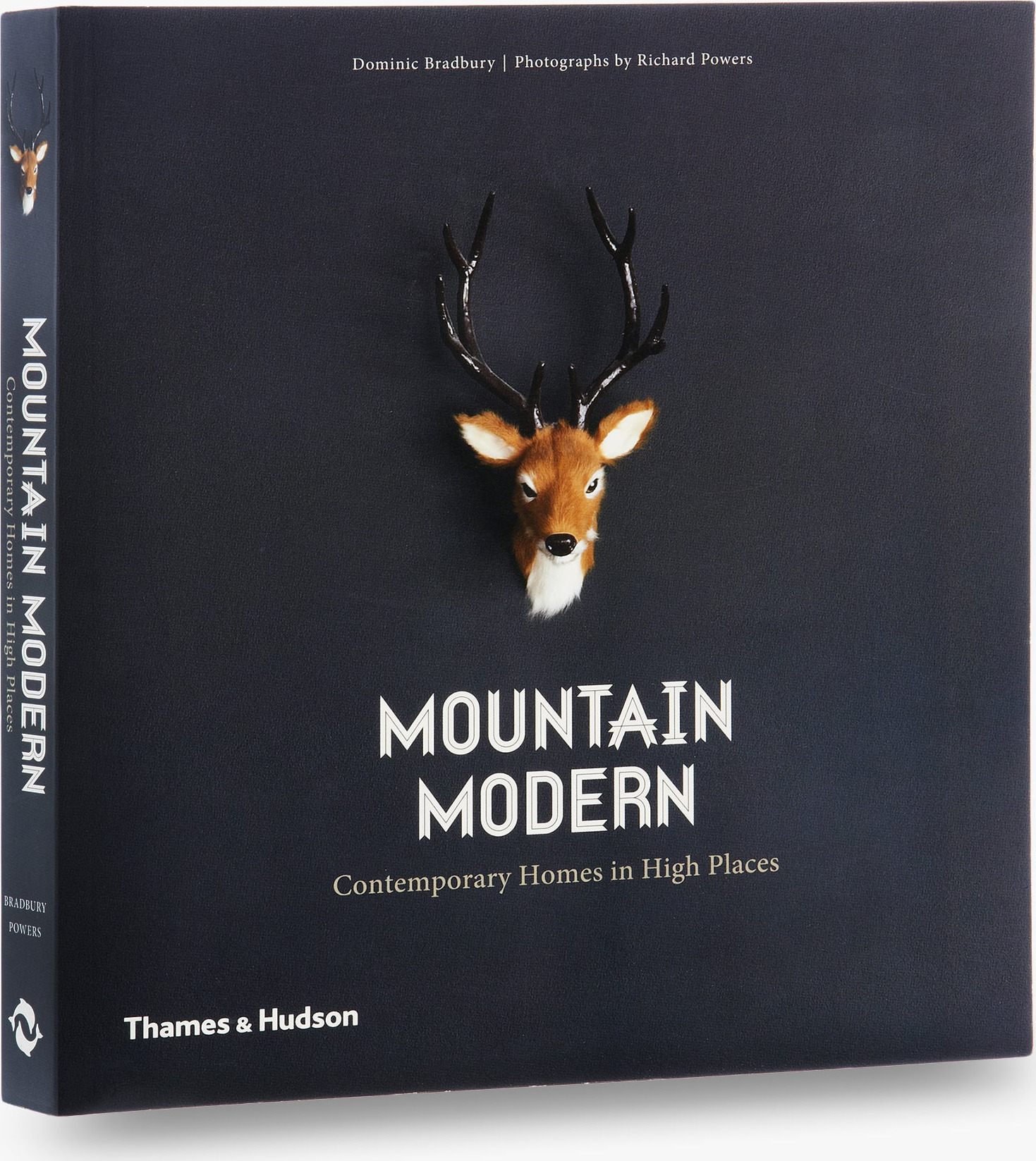 Mountain Modern