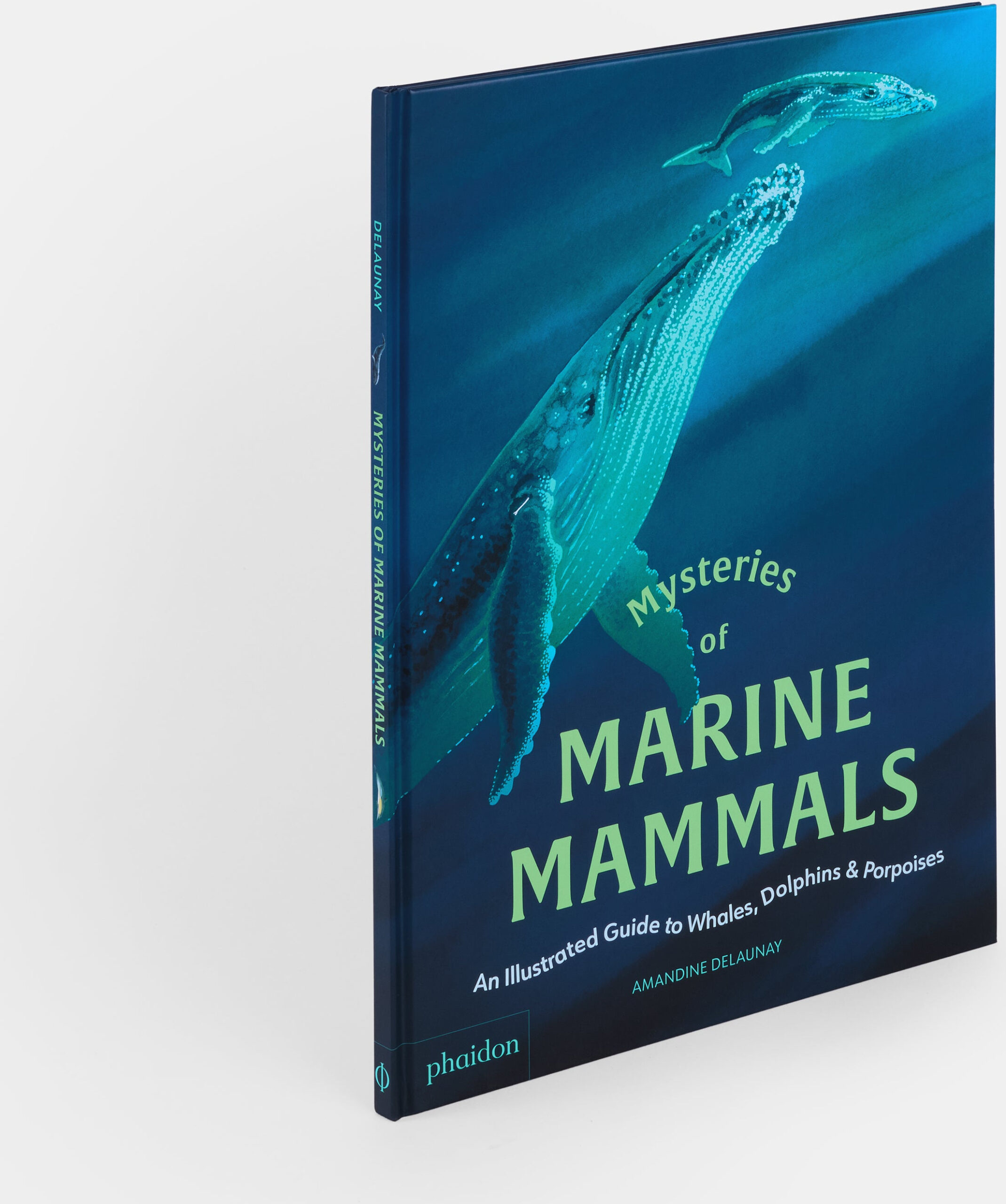 Mysteries of Marine Mammals: An Illustrated Guide to Whales, Dolphins, and Porpoises