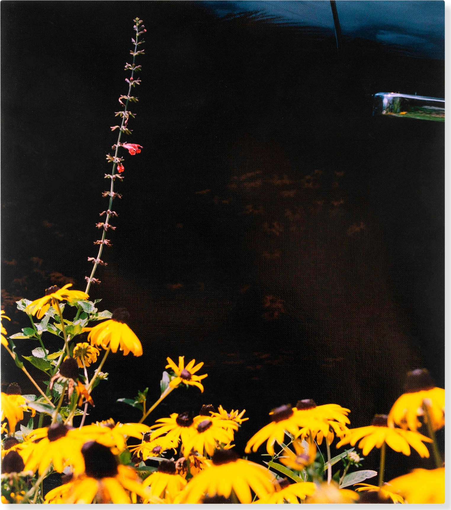 Mystery Street, Photographs by Vasantha Yogananthan – Hardcover