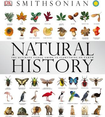 Natural History: The Ultimate Visual Guide to Everything on Earth