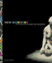 New Identities: Contemporary Art From South Africa cover