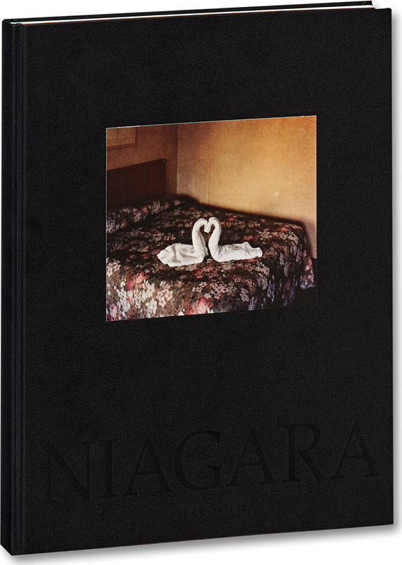 Niagara cover