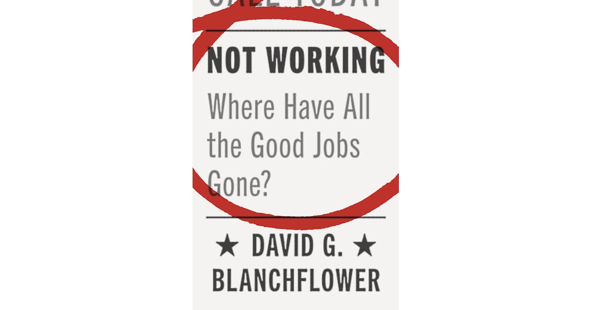 Not Working: Where Have All the Good Jobs Gone? cover