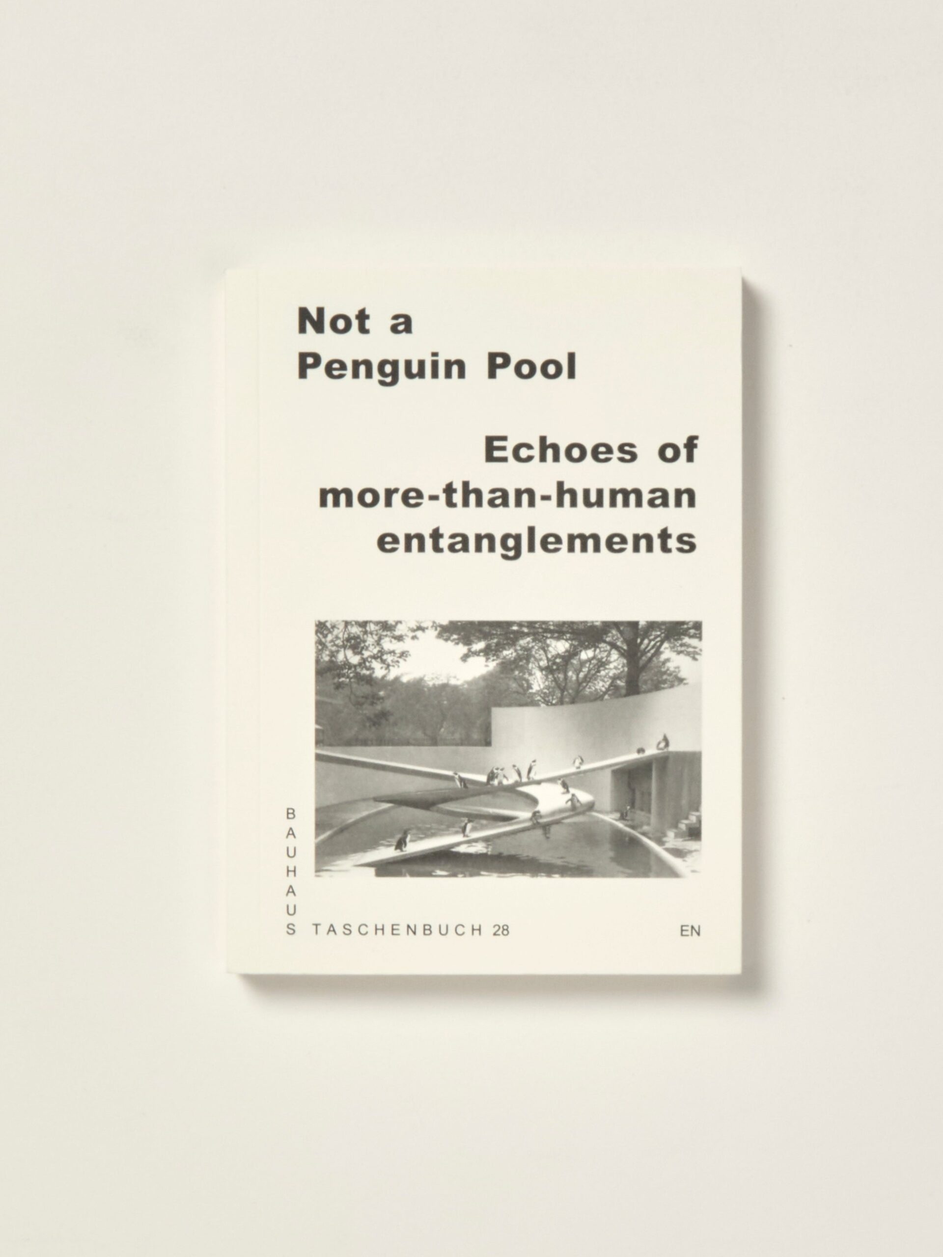 Not a Penguin Pool: Echoes of More-Than-Human Entanglements