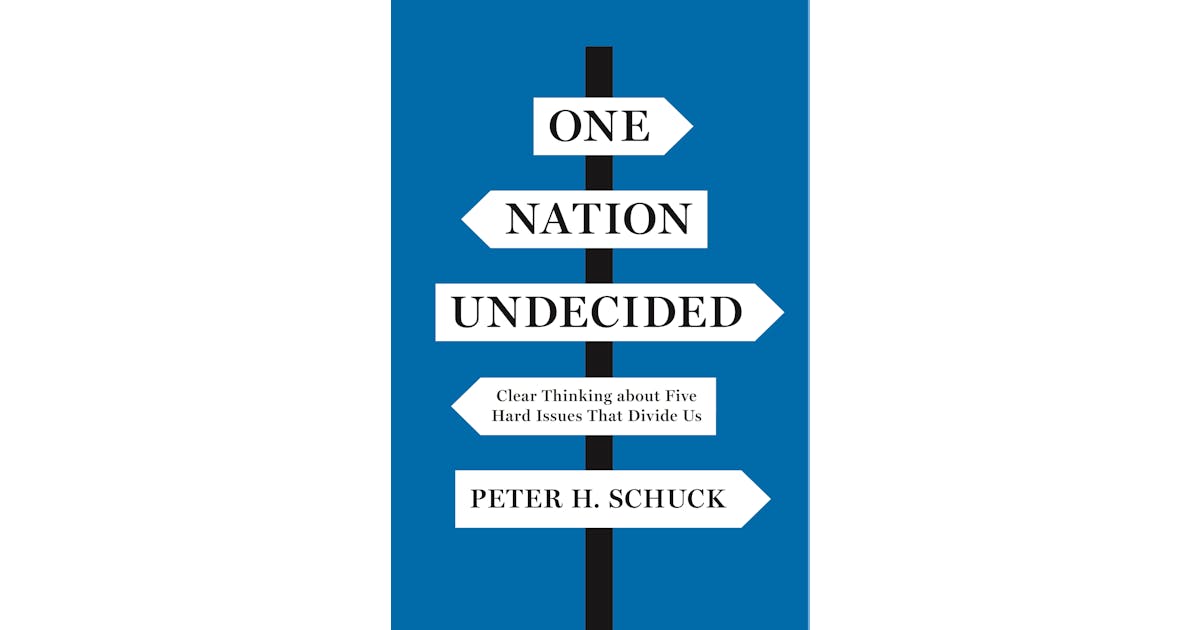 One Nation Undecided: Clear Thinking about Five Hard Issues That Divide Us cover