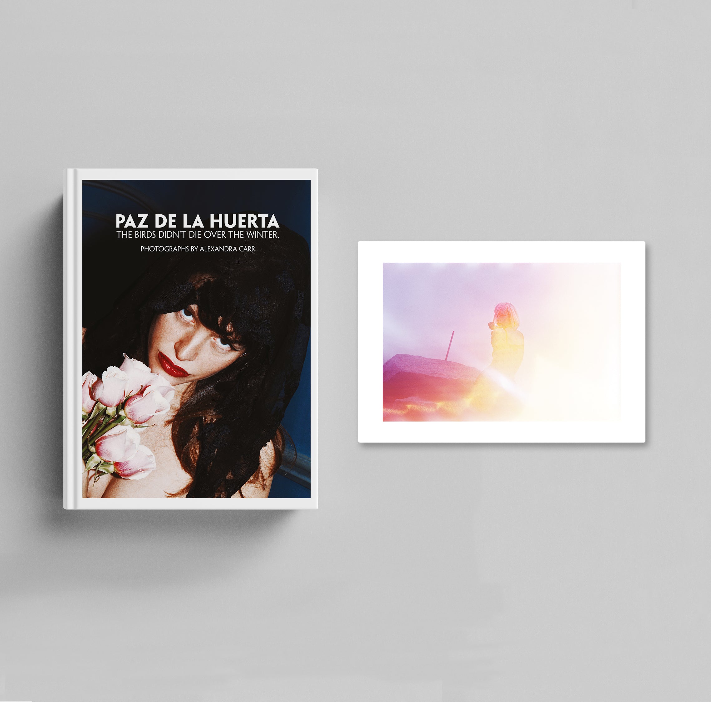 Paz de la Huerta. The Birds didn’t die over the winter | Collector’s Edition cover