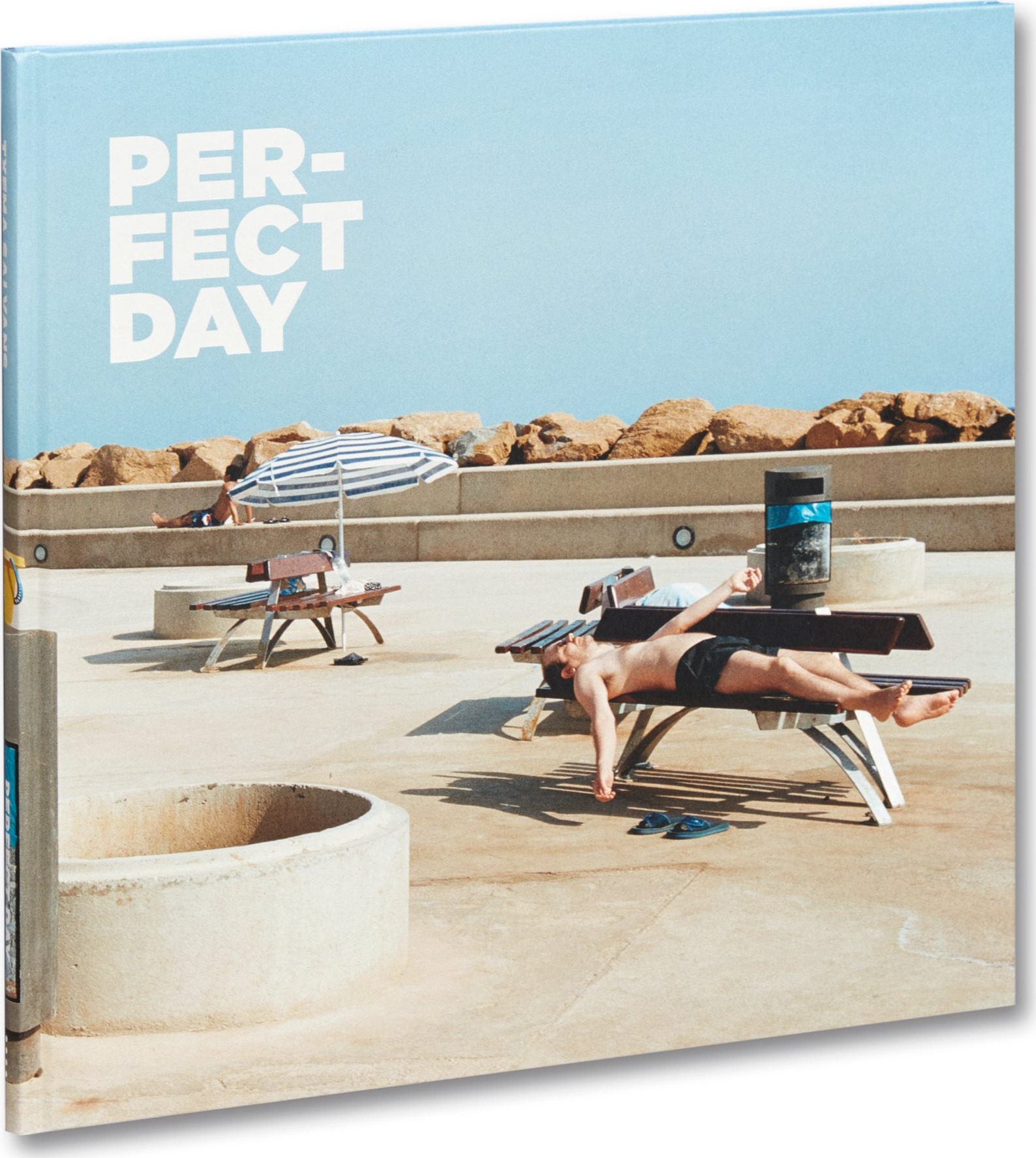 Perfect Day cover