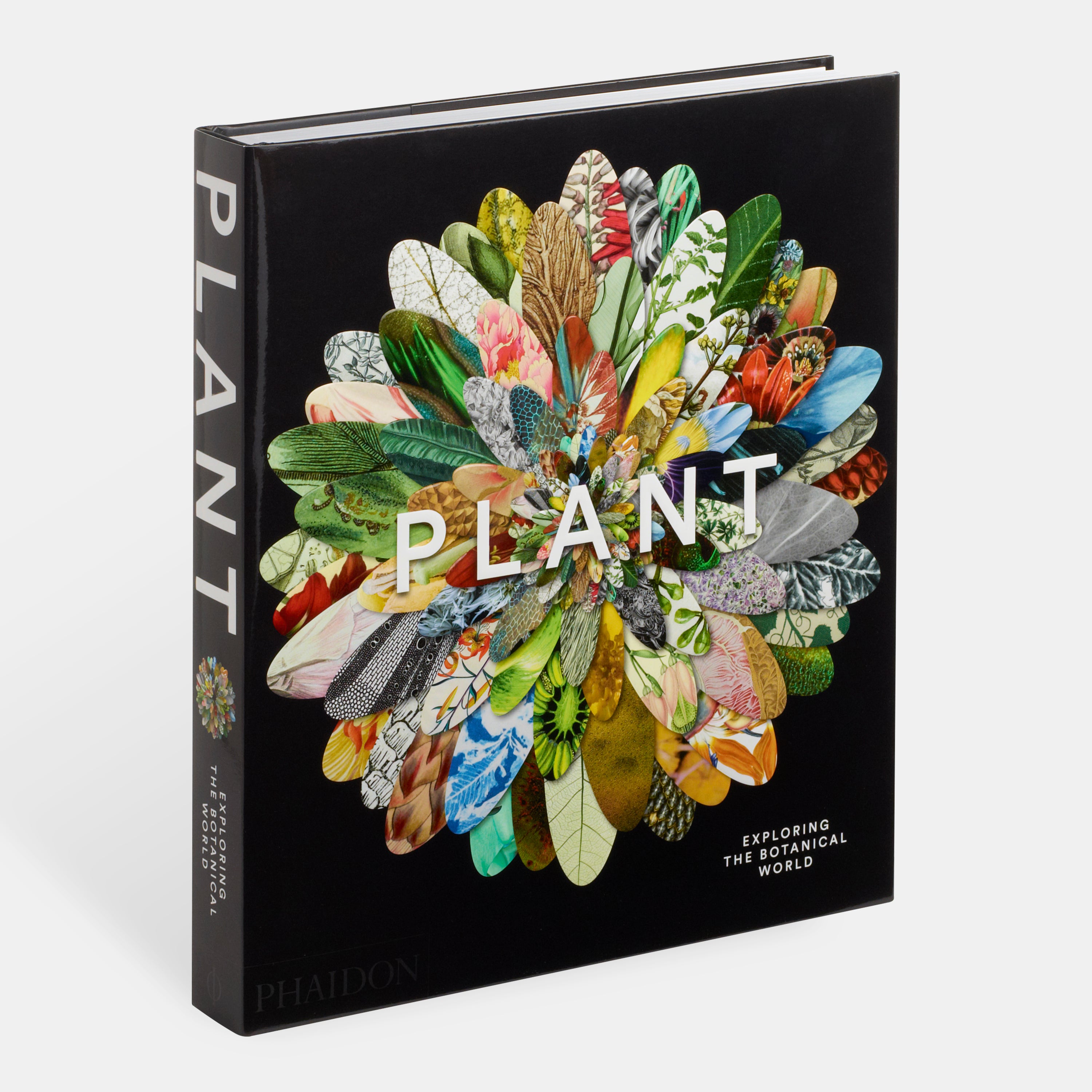 Plant: Exploring the Botanical World cover