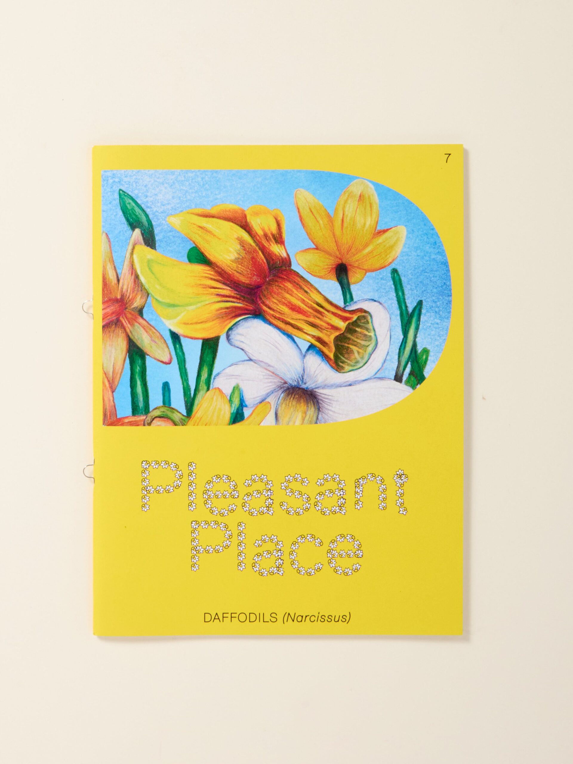 Pleasant Place 7: Daffodils (Narcissus)