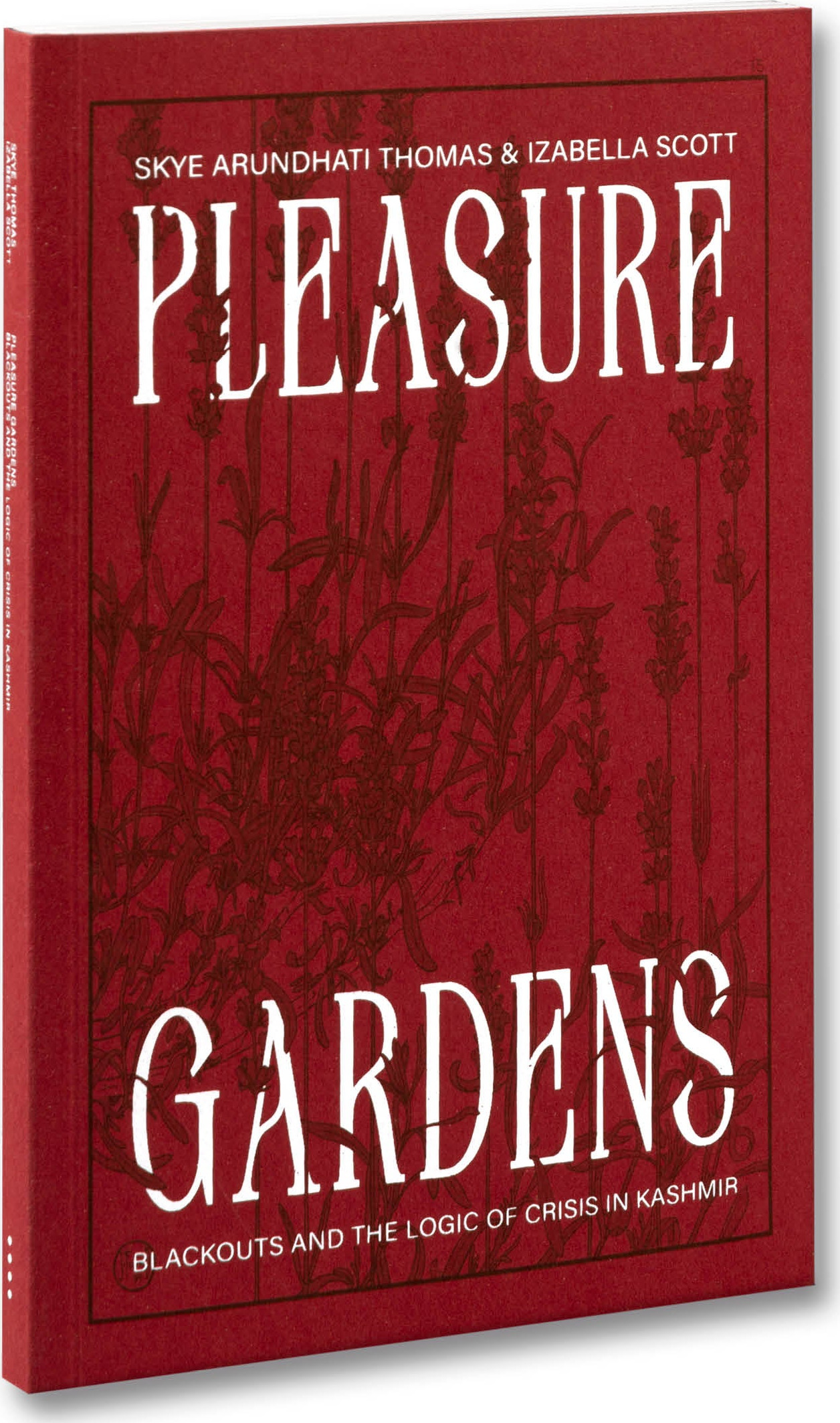 Pleasure Gardens: Blackouts and the Logic of Crisis in Kashmir