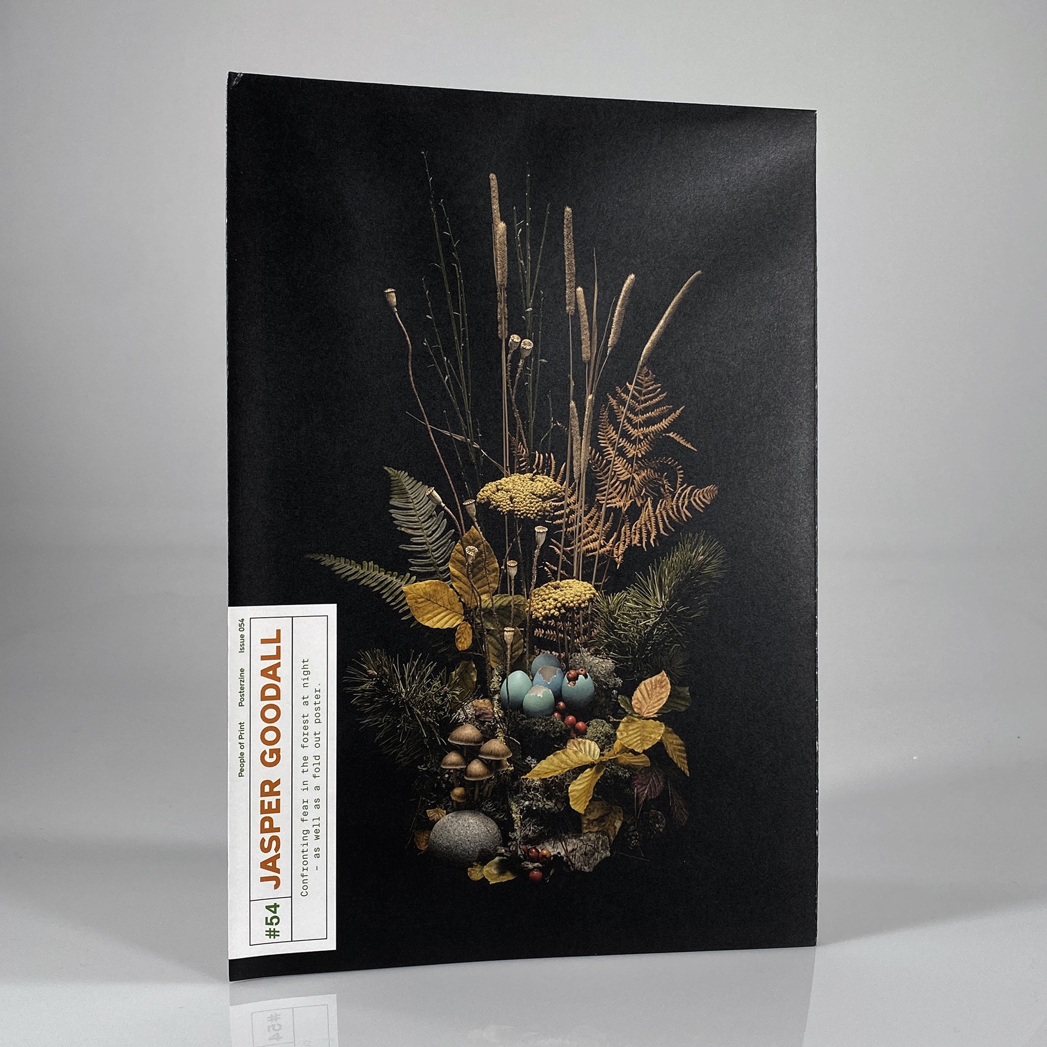 Posterzine Issue 54, Jasper Goodall