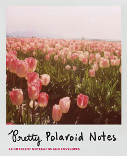 Pretty Polaroid Notes cover