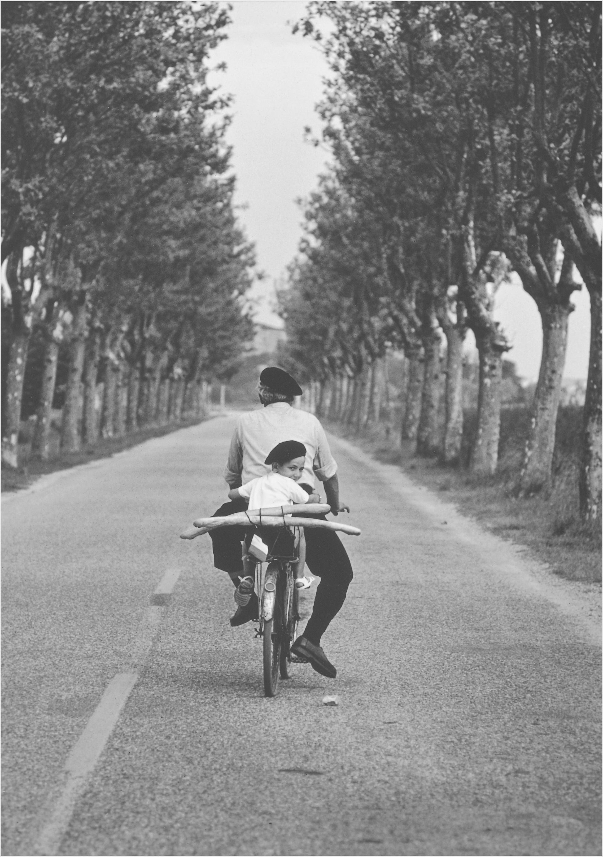 Provence, France, 1955 cover