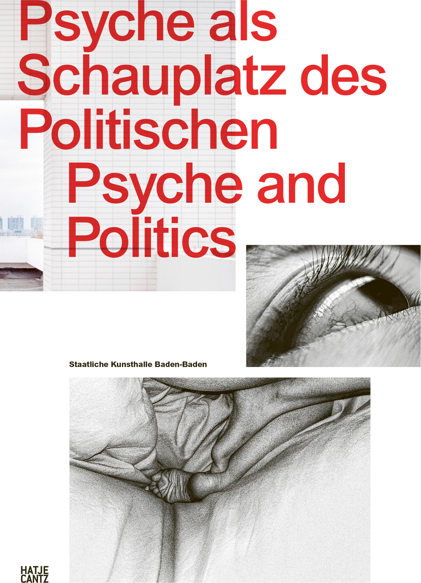 Psyche and Politics cover
