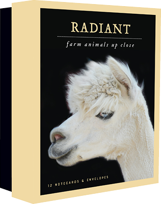Radiant Notecards