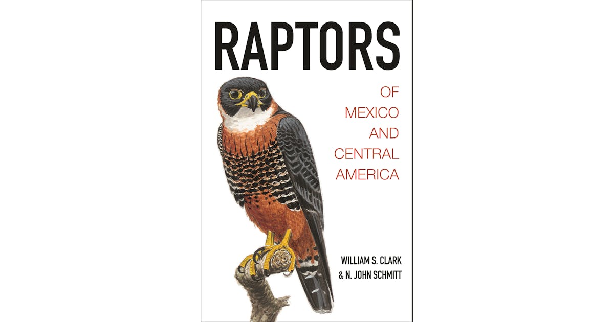 Raptors of Mexico and Central America cover