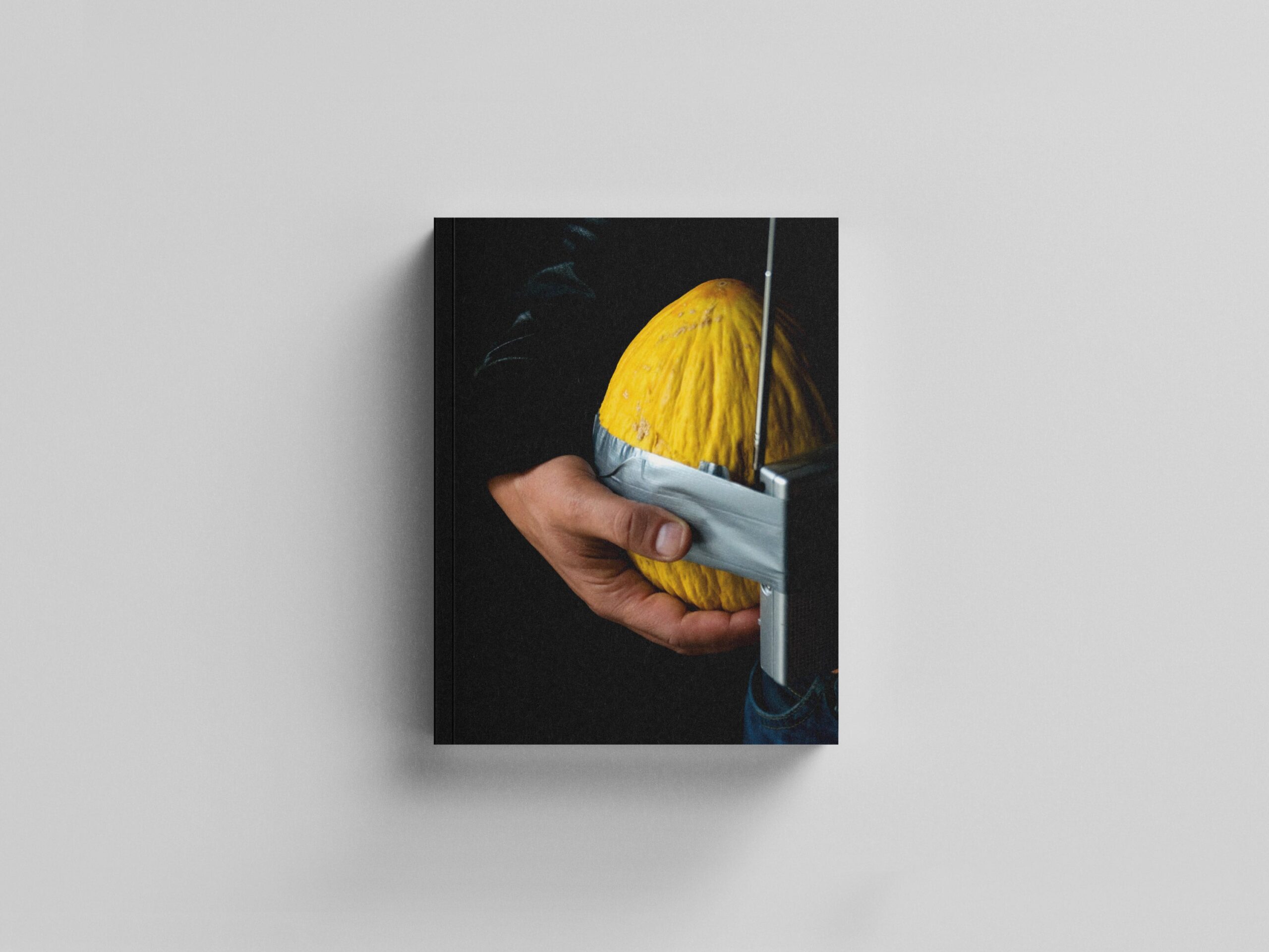 Raptus cover