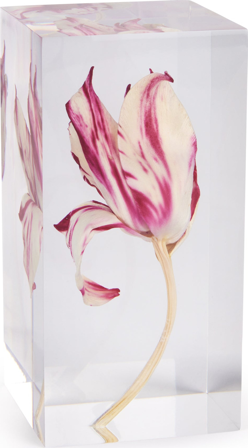 Rare Tulip Objet d’Art