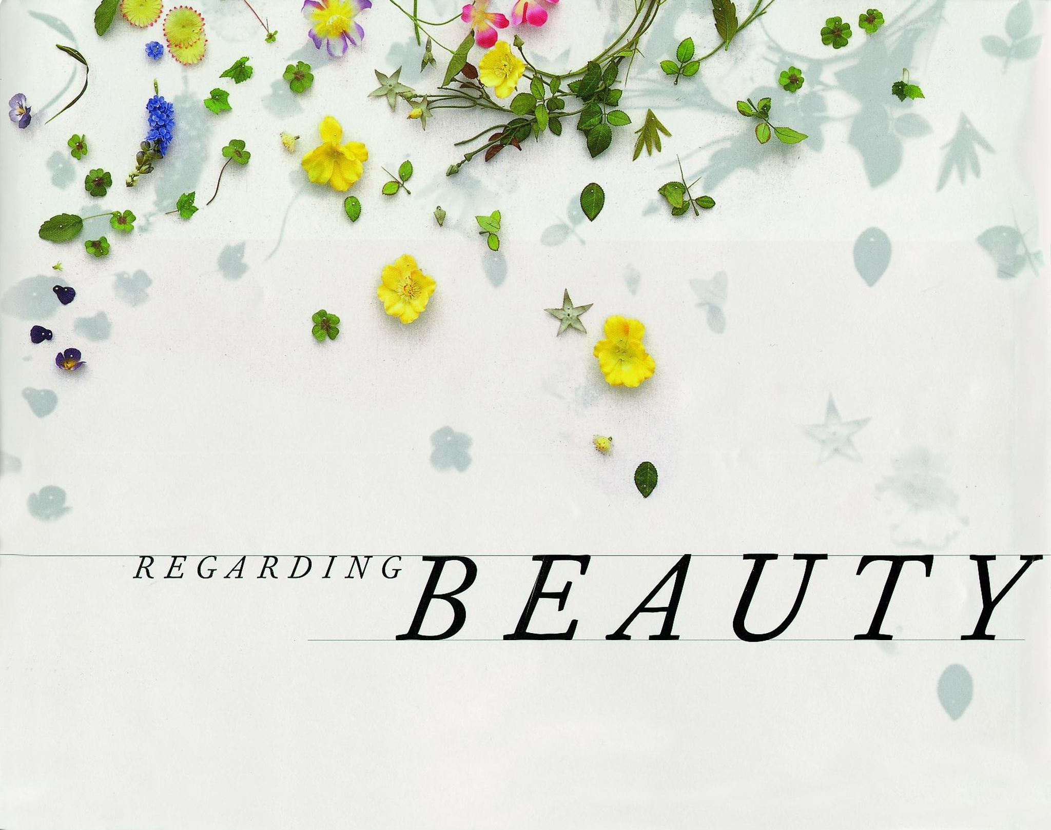 Regarding Beauty