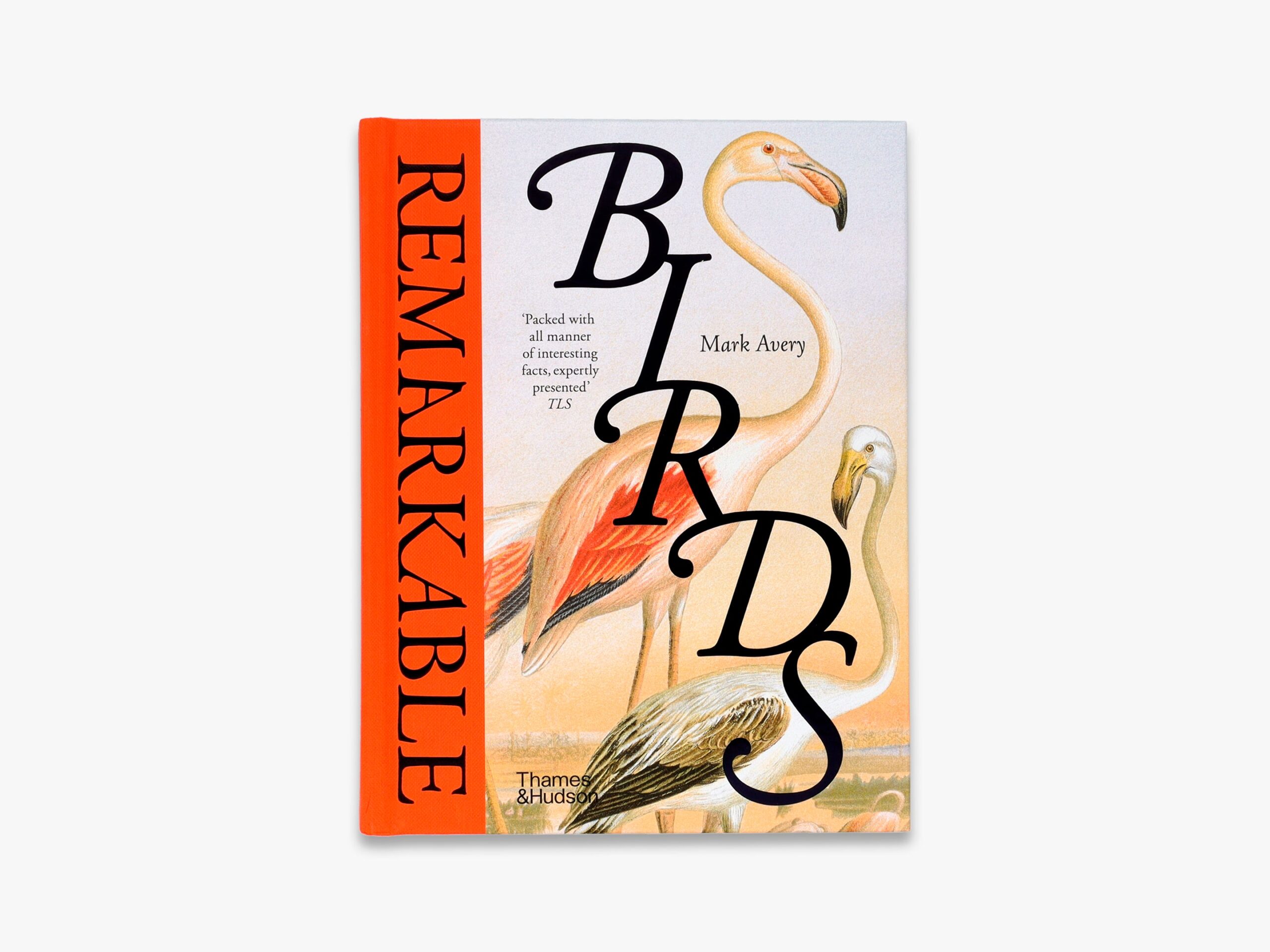 Remarkable Birds cover