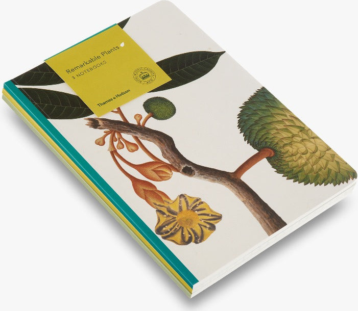 Remarkable Plants: Set of 3 A5 Notebooks