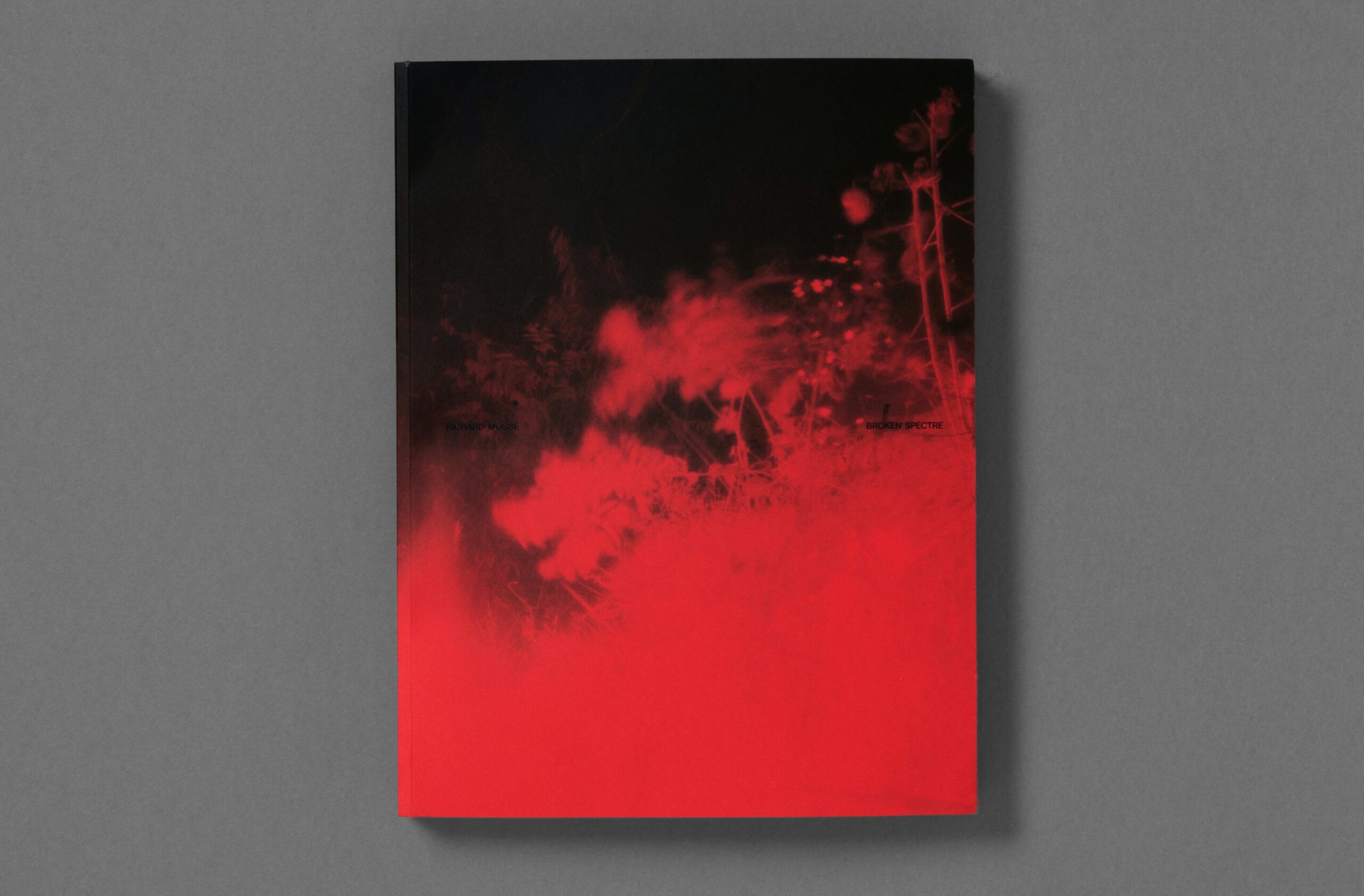 Richard Mosse – Broken Spectre