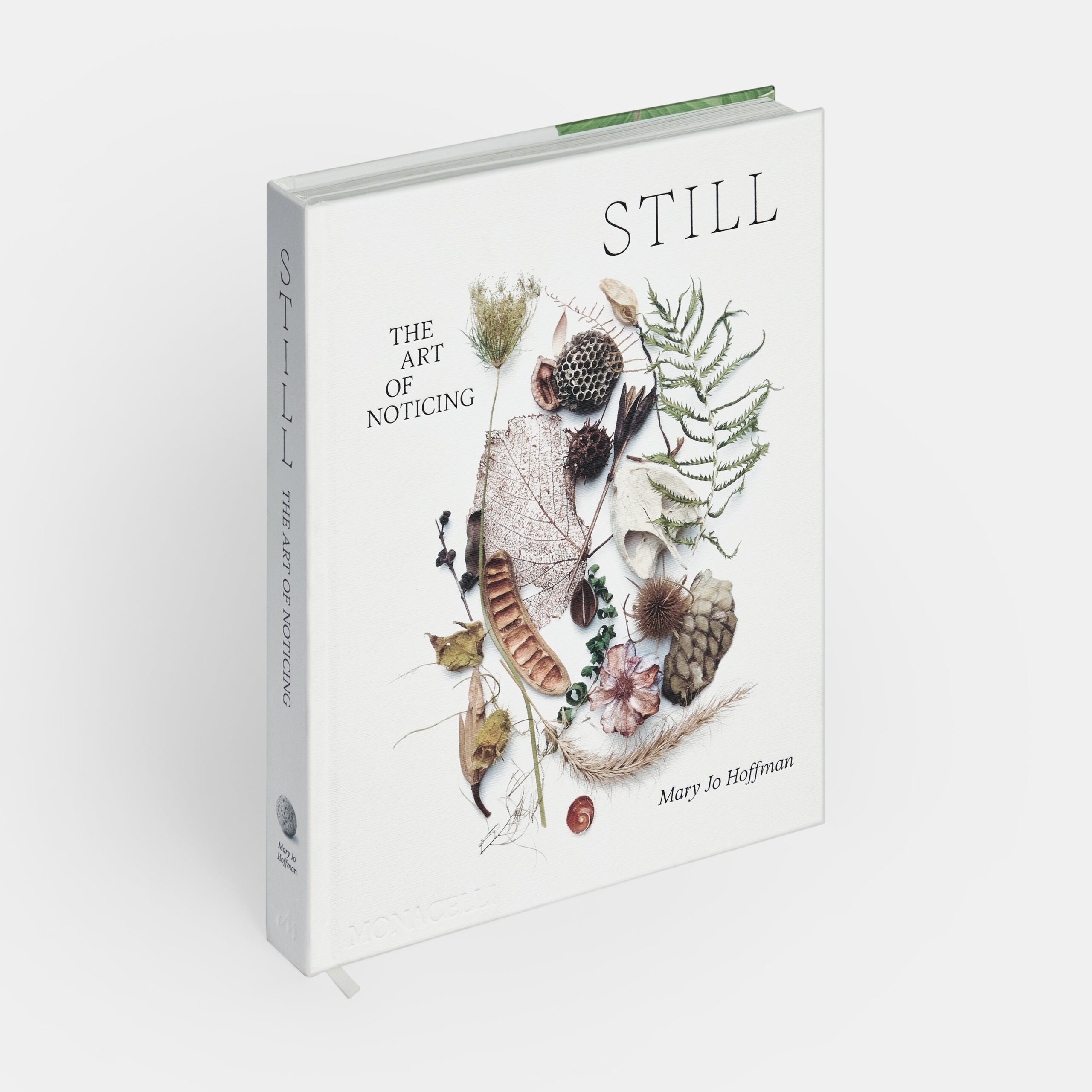STILL: The Art of Noticing
