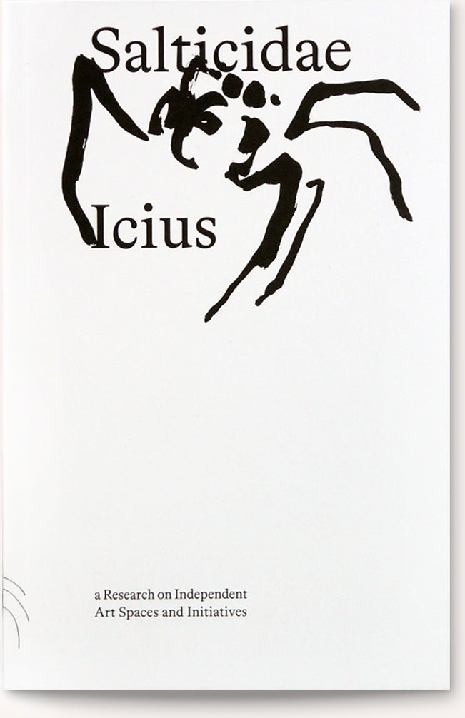Salticidae Icius: A Research on Independent Art Space and Initiatives