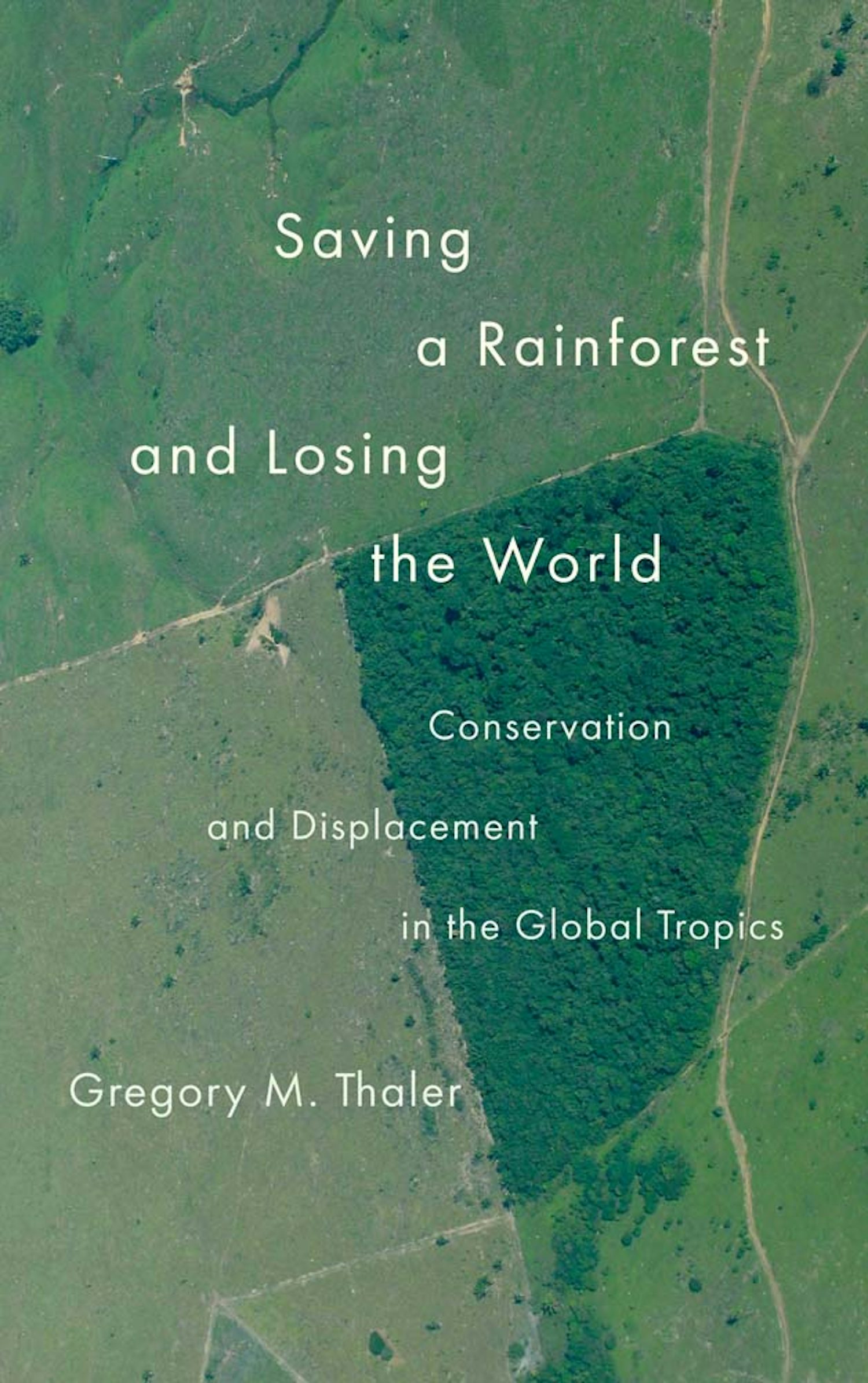 Saving the Rainforest and Losing the World